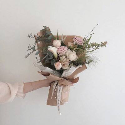 乐鱼体育百科手机版