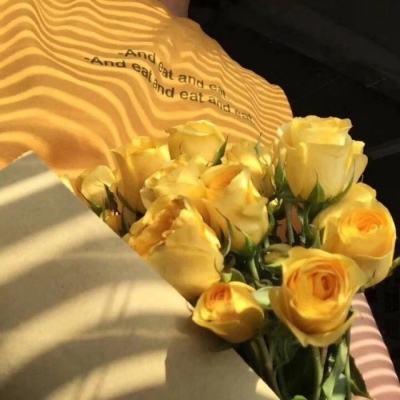 近东救济工程处：391名该机构相关者在本轮巴以冲突期间丧生